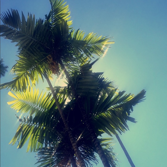 Meet your Posher, Aunt B - Picture 7 of 9